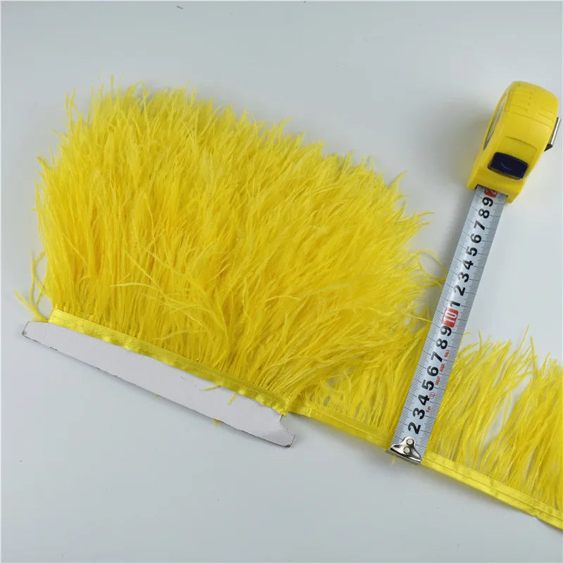 Ostrich Feathers Trims Width 8-10cm Ribbon