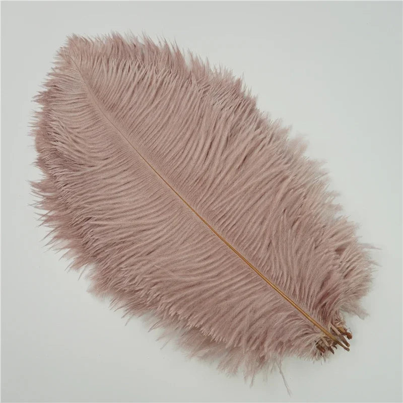 Colored Ostrich Feathers