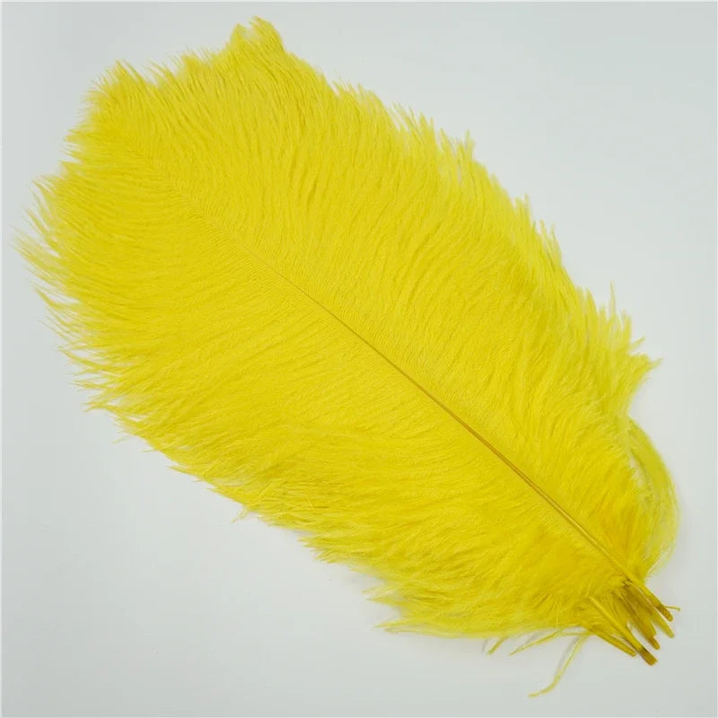 Colored Ostrich Feathers