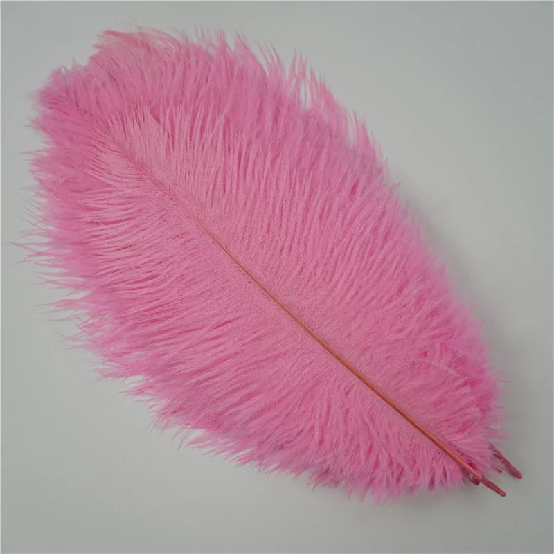 Colored Ostrich Feathers