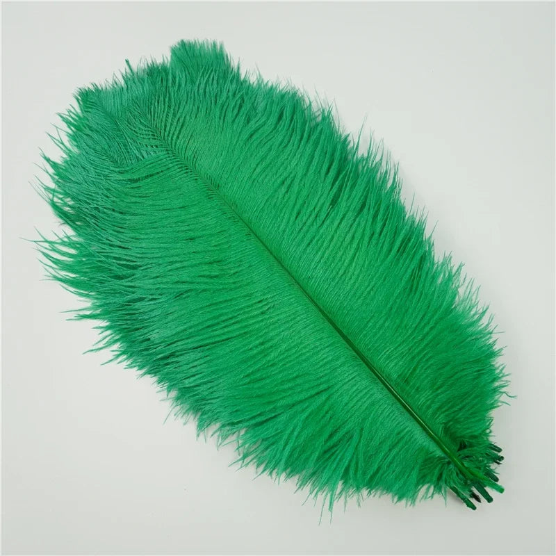 Colored Ostrich Feathers