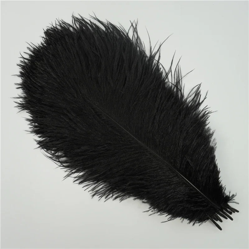 Colored Ostrich Feathers