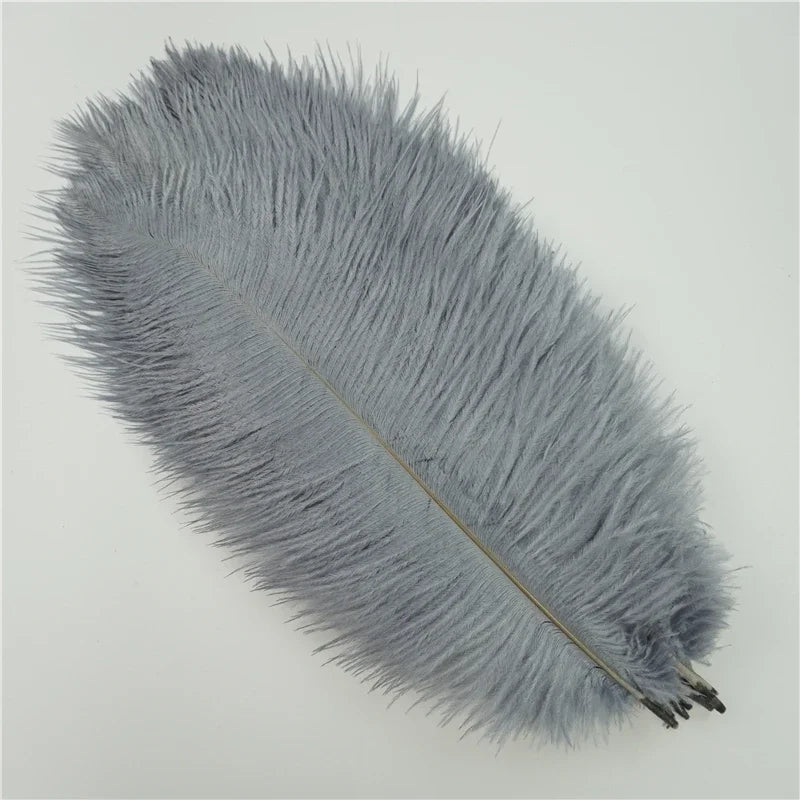 Colored Ostrich Feathers