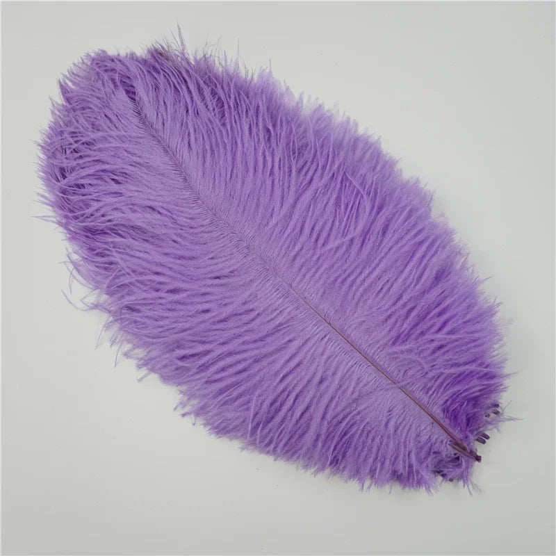 Colored Ostrich Feathers