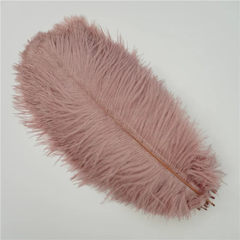 Colored Ostrich Feathers