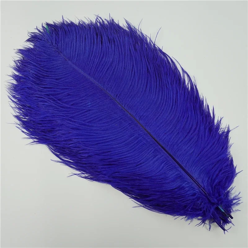 Colored Ostrich Feathers