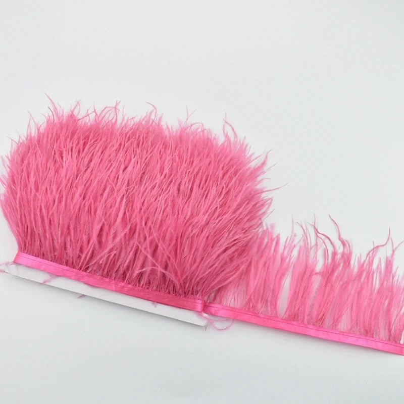 Ostrich Feathers Trims Width 8-10cm Ribbon