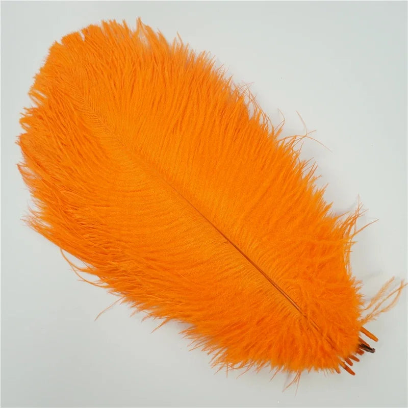 Colored Ostrich Feathers