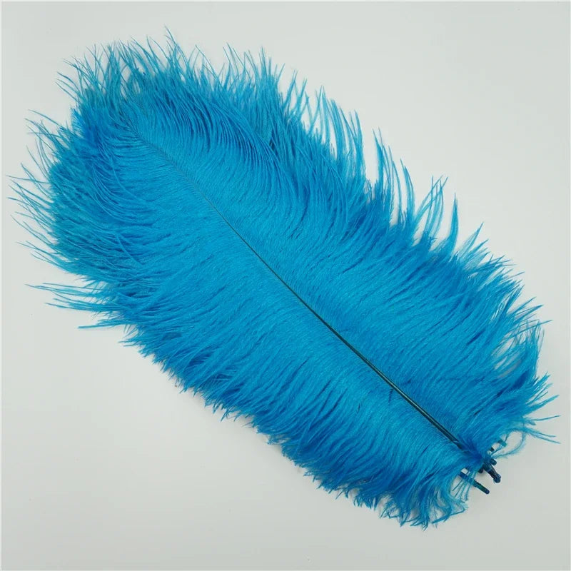 Colored Ostrich Feathers