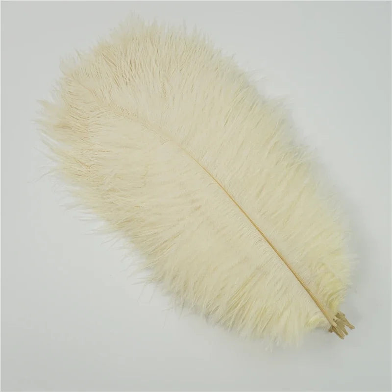 Colored Ostrich Feathers