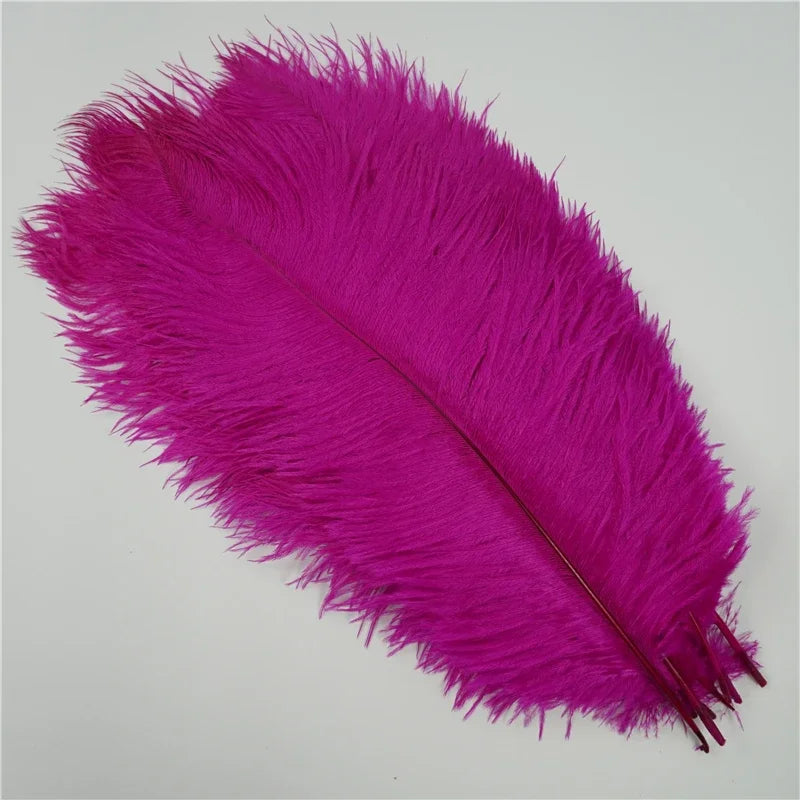 Colored Ostrich Feathers