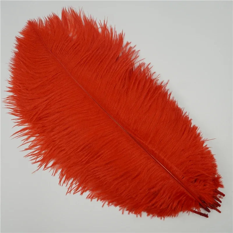 Colored Ostrich Feathers