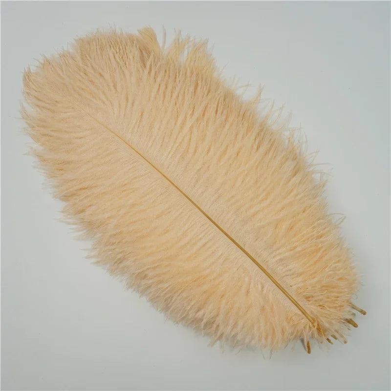 Colored Ostrich Feathers