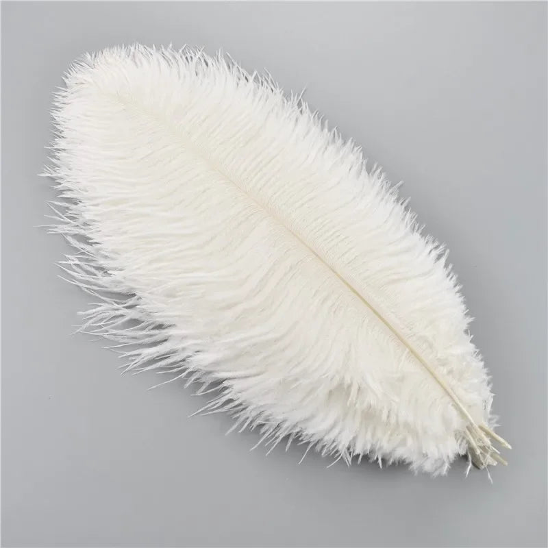 Colored Ostrich Feathers