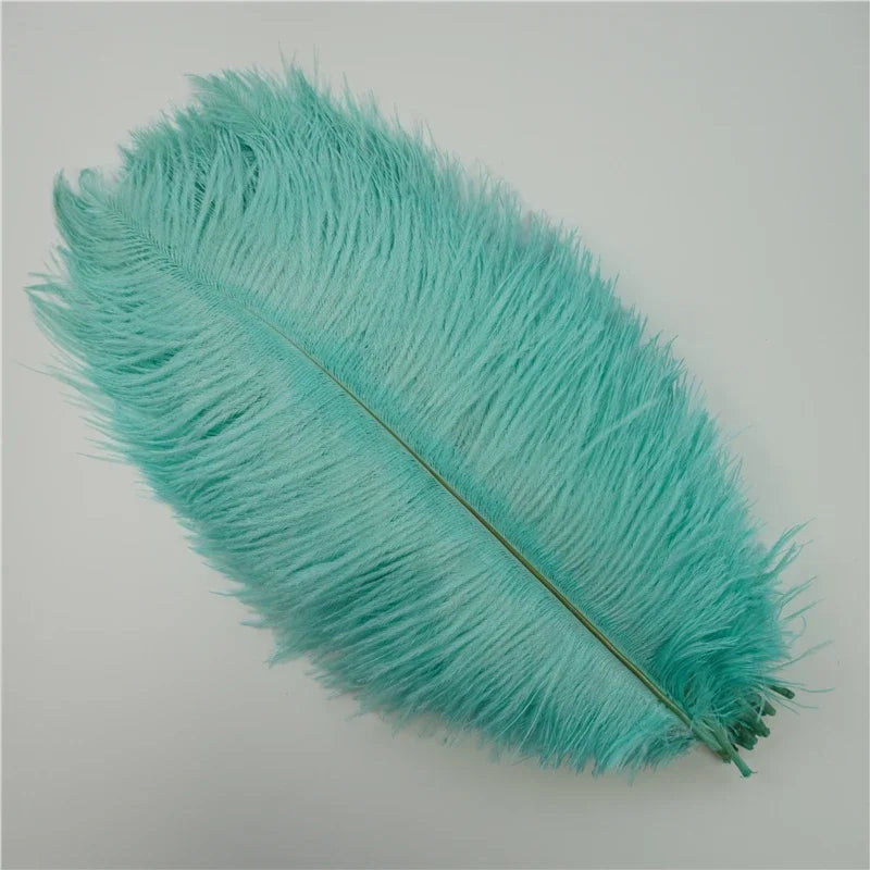 Colored Ostrich Feathers