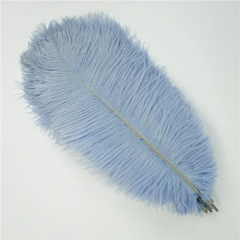 Colored Ostrich Feathers