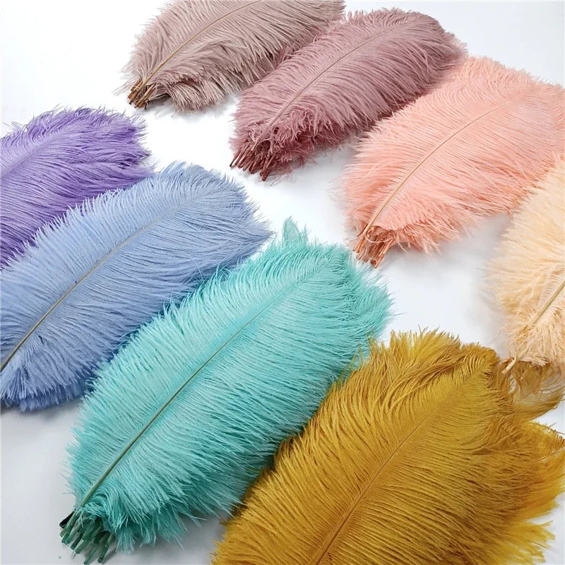 Colored Ostrich Feathers