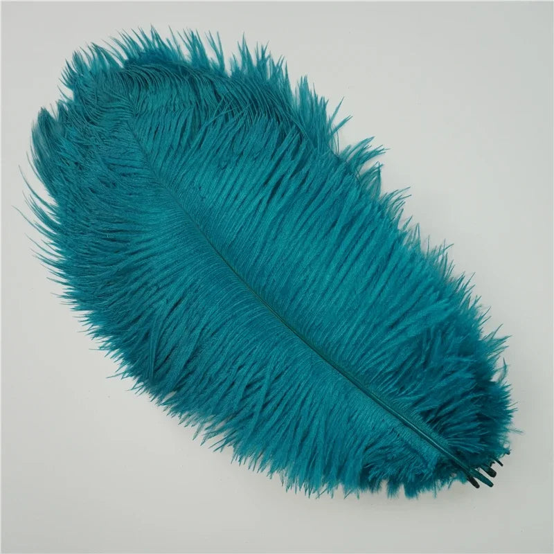 Colored Ostrich Feathers