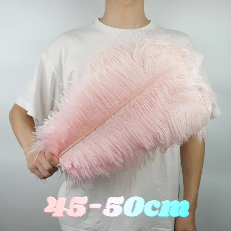 Colored Ostrich Feathers