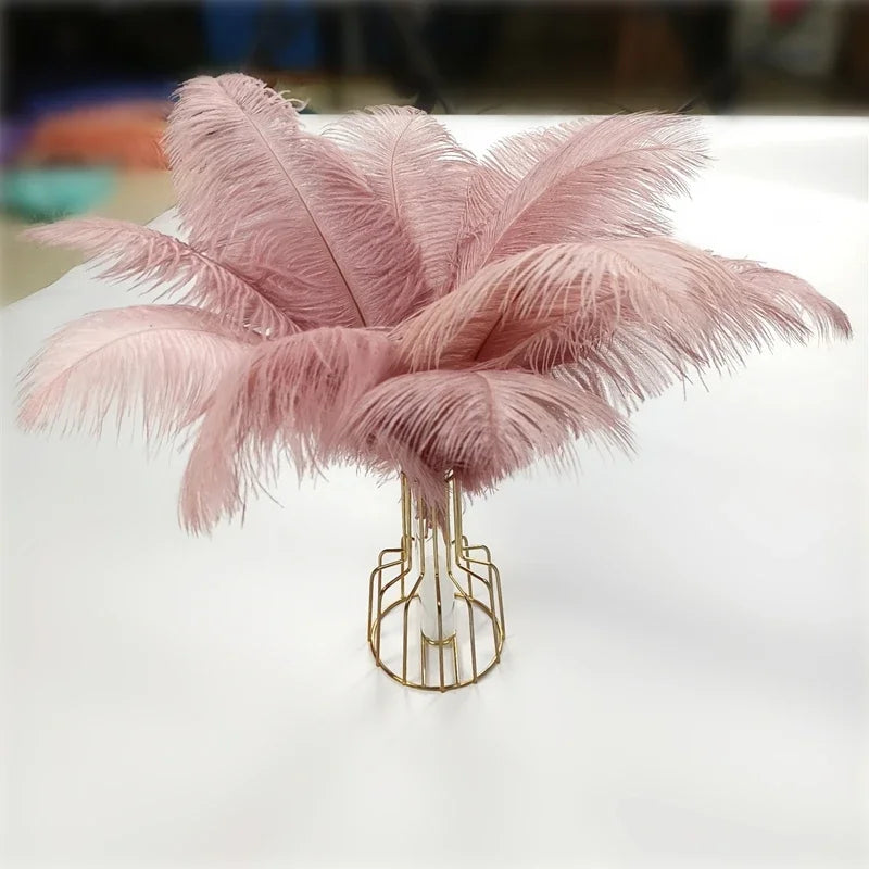 Colored Ostrich Feathers