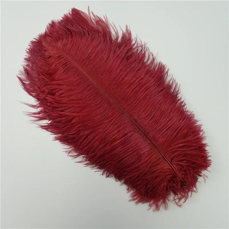 Colored Ostrich Feathers