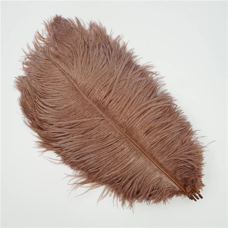 Colored Ostrich Feathers