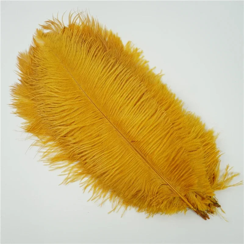 Colored Ostrich Feathers