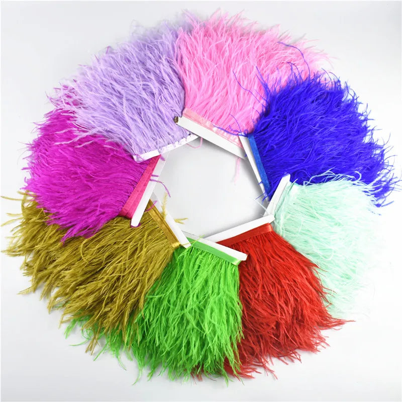 Ostrich Feathers Trims Width 8-10cm Ribbon