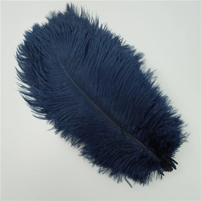 Colored Ostrich Feathers