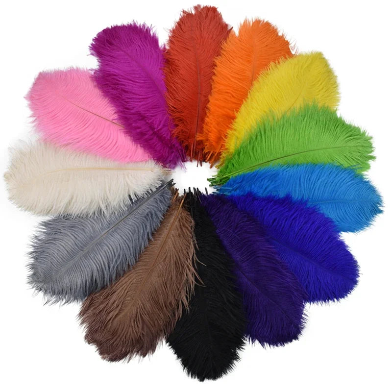 Colored Ostrich Feathers